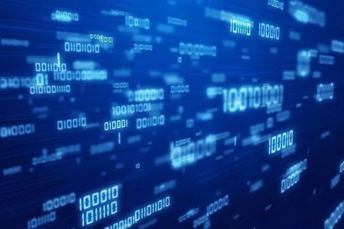 风口到来，大掌柜半年斩获两轮融资，上海网络技术服务赛道迎来新标杆